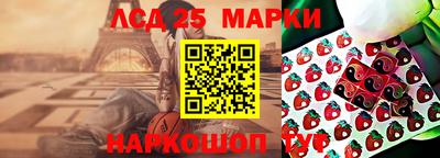 хмурый Сланцы