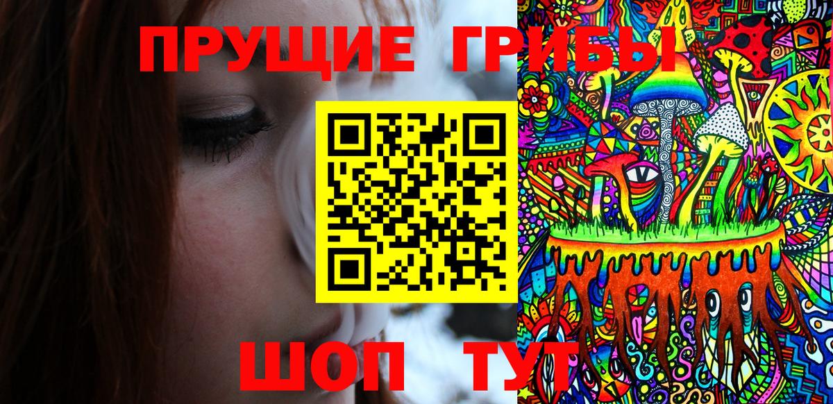 Галлюциногенные грибы прущие грибы  Вход с VPN  Тамбов 