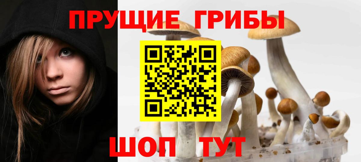 Псилоцибиновые грибы прущие грибы Тамбов